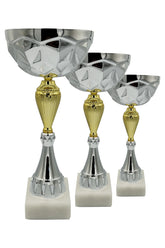 CTS 090 | SET de 3 Cupe Sportive - TrophyShop